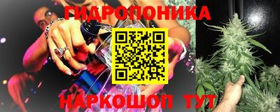 крисы Волжский