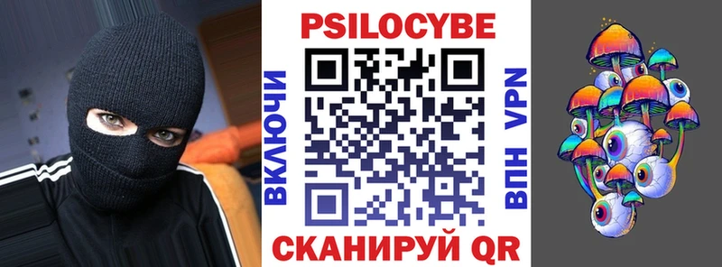 darknet официальный сайт  Кохма  Галлюциногенные грибы мицелий 