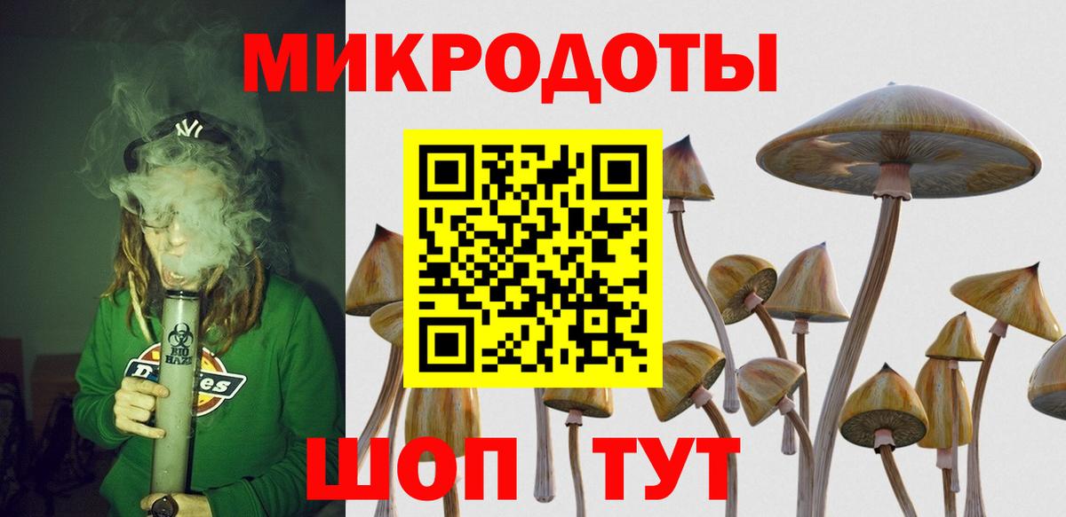 Галлюциногенные грибы мухоморы  Вход с VPN  Кохма 